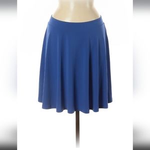 Michael Kors Blue Skirt